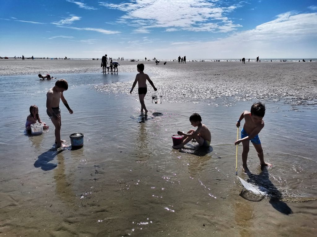 Activité à la plage